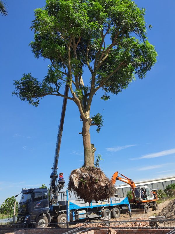 Cứu hộ ô tô Hưng Yên